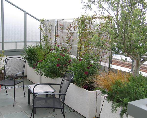Privacy Screens: stainless steel screens for Penthouse garden